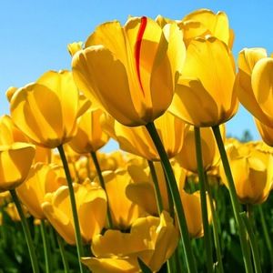 Meet your Posher, Brittney